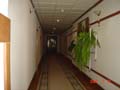 DSC00393
