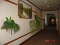 DSC00408